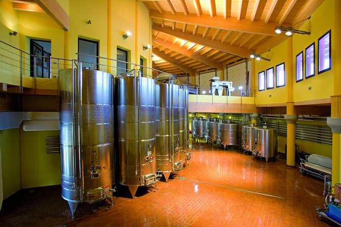 Picnic and Lugana Tour at Perla del Garda winery - What the two-hour schedule feels like