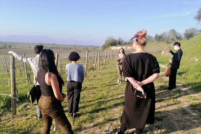 Picnic and Lugana Tour at Perla del Garda winery - Why the Lugana pairing works with the picnic