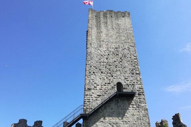 Private 2-Hour Tour of the Medieval Castle over Lake Como - Is $144.49 per person good value?