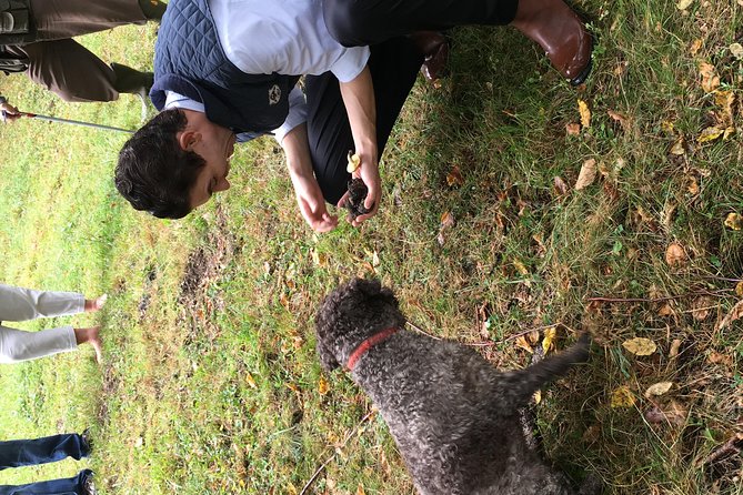 Private Hunting Of Truffle And Mushrooms With Chef Luigi Gandola In Bellagio - From forest harvest to a Bellagio meal