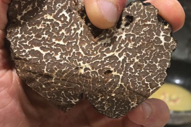 Private Hunting Of Truffle And Mushrooms With Chef Luigi Gandola In Bellagio - What the private format adds