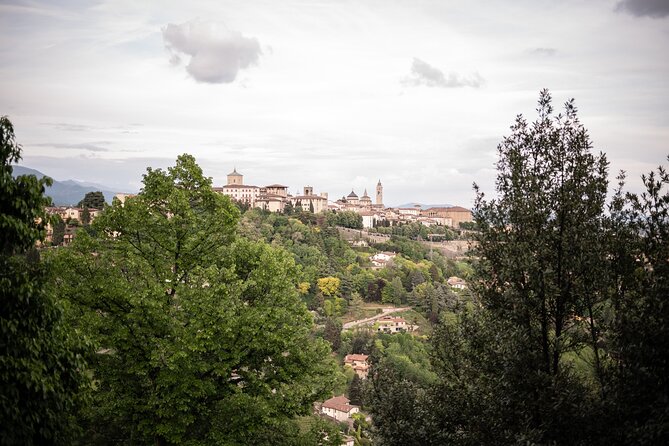 Private Italian lessons in Bergamo - A lesson built around your own interests