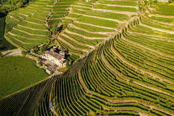 Private Lake Como Experience with Luca - The private drive along the northern shore