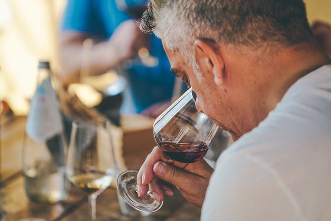 Private Langhe and Barolo Wine Tour from Milan - Leaving Milan for Piedmont’s Wine Country