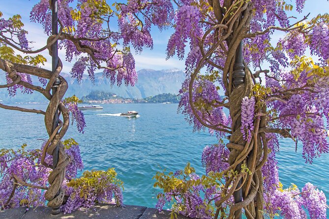 Private Tour: Lake Como From Milan with Private Driver and Boat - Villa Carlotta and Villa Melzi as alternatives