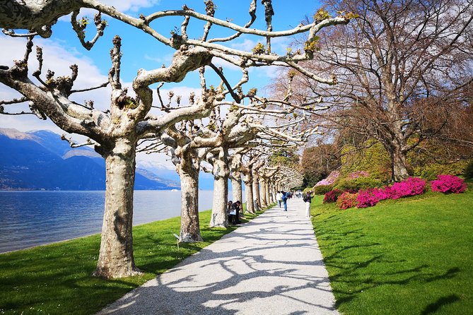 Private Tour to Bellagio on Lake Como from Stresa - Bellagio without a forced group schedule