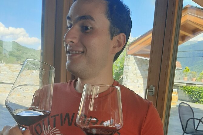 Private Wine Tour: Terraced Vineyards with Alpine view from Milan - From Milan Central Station to Valtellina’s Terraced Vineyards
