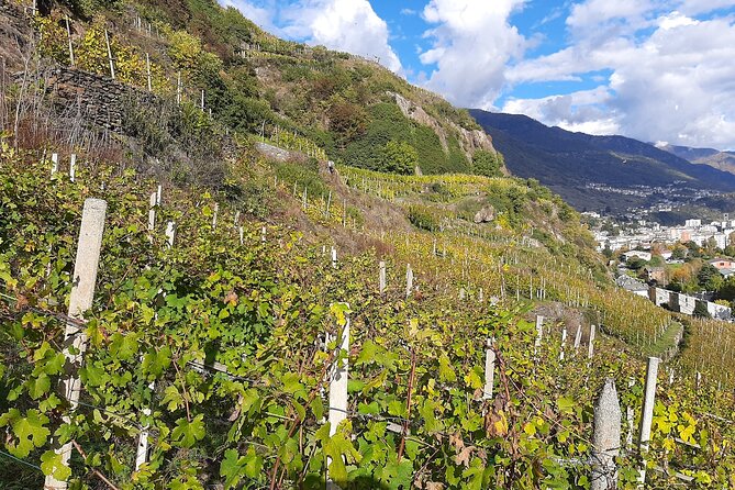 Private Wine Tour: Terraced Vineyards with Alpine view from Milan - Why the Private Minivan Matters