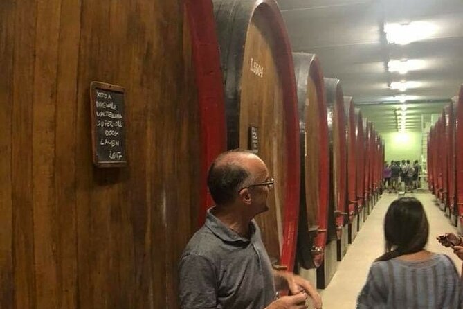 Private Wine Tour: Terraced Vineyards with Alpine view from Milan - Following the Wine Road Through Valtellina