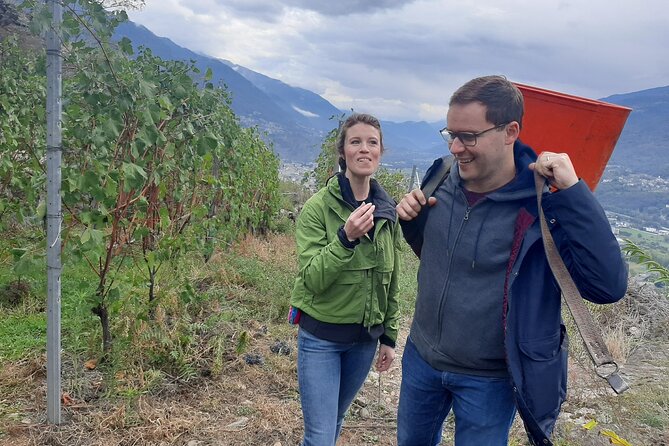 Private Wine Tour: Terraced Vineyards with Alpine view from Milan - Lunch in the Valley, With Wine Tasting