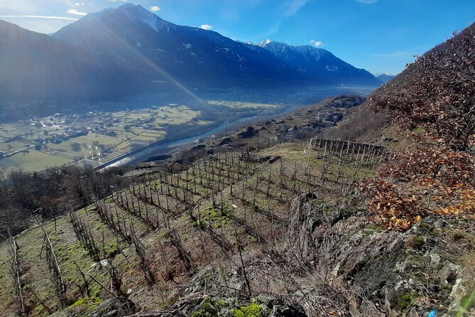 Private Wine Tour: Terraced Vineyards with Alpine view from Milan - The Second Winery, With More Time to Compare