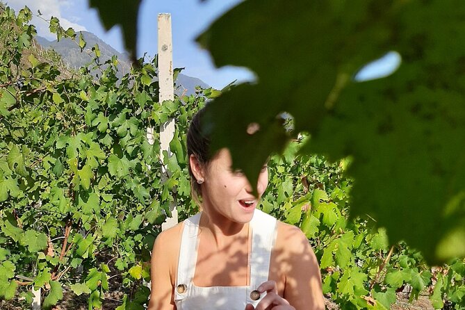 Private Wine Tour: Terraced Vineyards with Alpine view from Milan - What Luca Adds to the Day