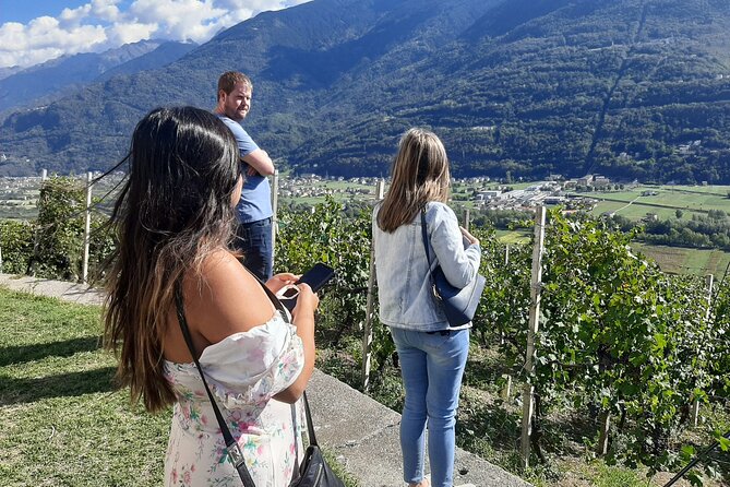 Private Wine Tour: Terraced Vineyards with Alpine view from Milan - The Return Journey to Milan