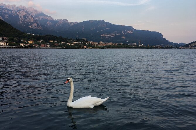 Sailing at Sunset on Lake Como: How to escape from daily routine - Abbadia Lariana and the return at dusk