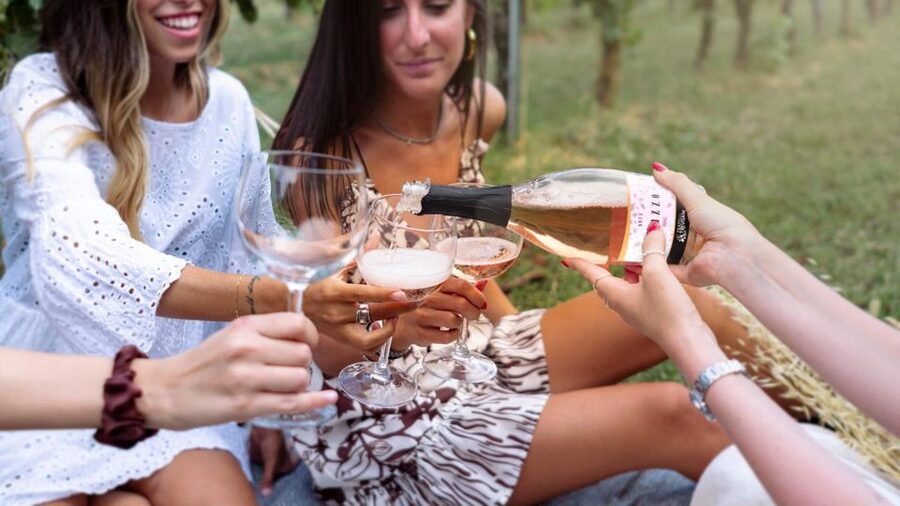 Salò: e-bike tour with wine tasting on Valtenesi Hills - Polpenazze and the little lakes of Sovenigo