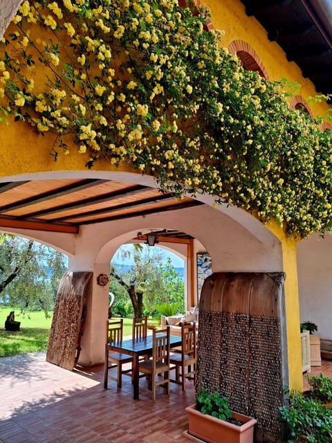 San Felice: Olive Oil Tasting with local food on Garda Hills - Why this olive grove is worth the trip