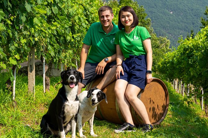 Savor Ossola Wines & Local Treats in a Scenic Vineyard - The view is worth building time around
