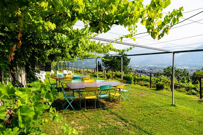 Savor Ossola Wines & Local Treats in a Scenic Vineyard - Getting there from Lake Maggiore or Milan Malpensa