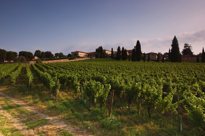 Self-guided Wine tour in Franciacorta, Full-Day Experience with Lunch - Why Franciacorta makes a fine wine day