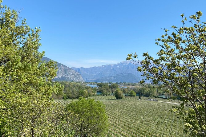 Self-guided Wine tour in Franciacorta, Full-Day Experience with Lunch - Passirano: a smaller producer and a different voice