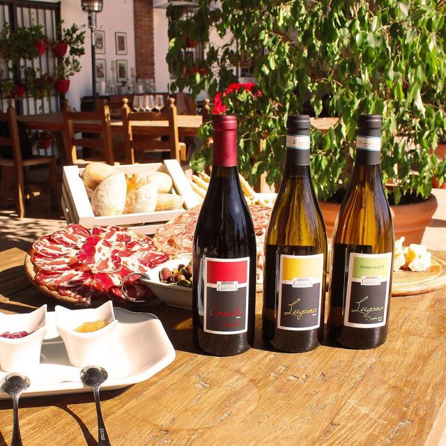 Sirmione: Vineyard Tour with Lugana Wines and Local Tastings - Is the $40 price good value?