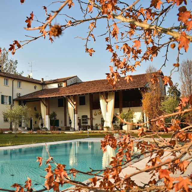 Sirmione: Vineyard Tour with Lugana Wines and Local Tastings - Starting in the vineyards with Turbiana grapes