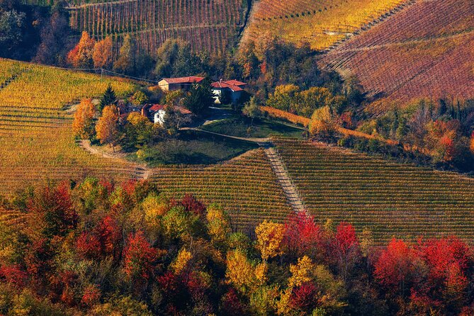Small-Group Barolo Wine Tasting, Alba & UNESCO Piedmont Hills - The small group changes the feel of the day