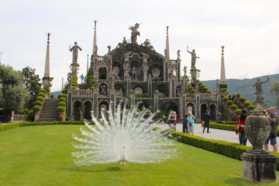 Stresa: 3 Borromean Islands Boat Tour - Timing a full day without feeling rushed
