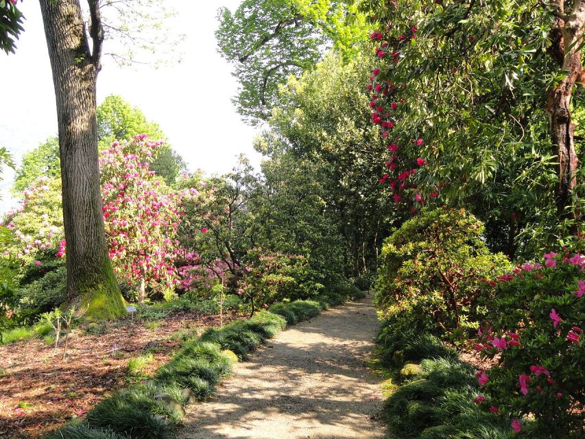 Stresa: 3 Borromean Islands Boat Tour - Who will enjoy this island tour most