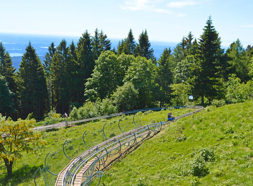 Stresa: Alpyland Alpine Coaster Ride on Mount Mottarone - Why the family format works