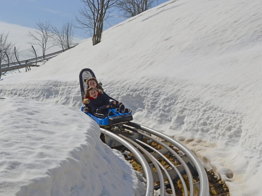 Stresa: Alpyland Alpine Coaster Ride on Mount Mottarone - The descent, from fast run to scenic ride