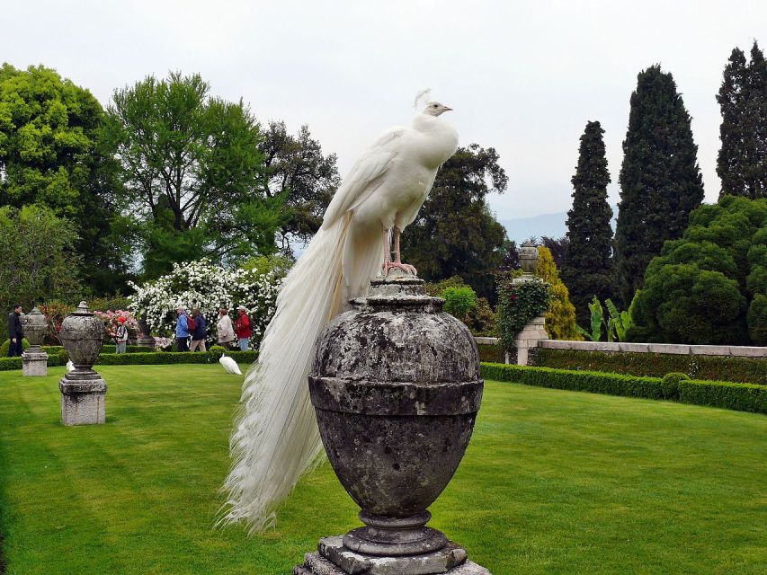 Stresa: Madre & Bella Borromean Islands Boat Trip - Isola Bella’s Palace and Terraced Gardens