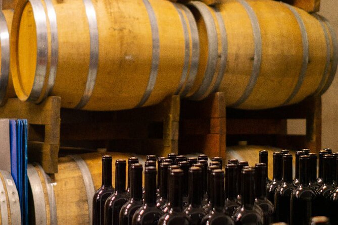 Tasting of 4 Valtenesi wines with local food in Salò - How the itinerary works