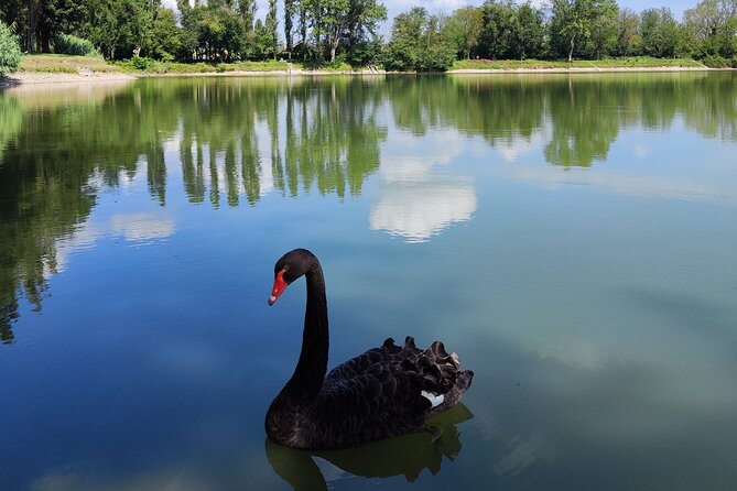The Milan you don't expect, bike tour with picnic on the lake - Why western Milan is worth your afternoon