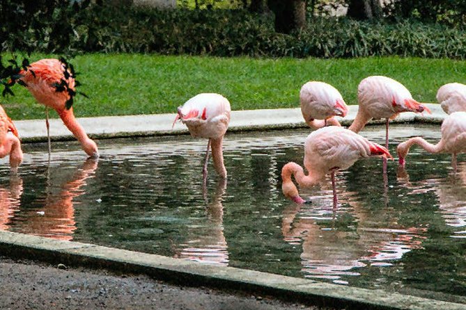 The Secret Milan – An Exclusive Stroll Beyond the Beaten Path - Why this walk shows a different Milan