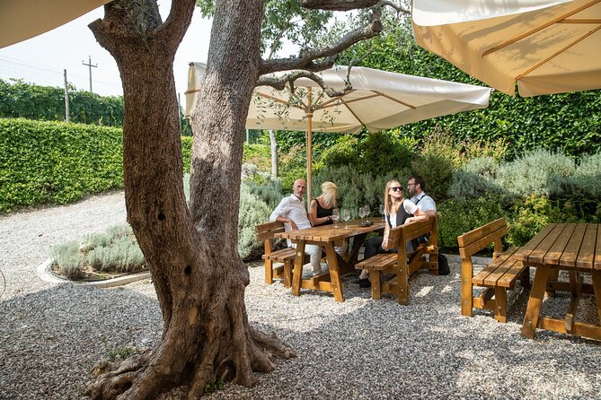 Tour and Tasting of Organic Wines in Lazise - Key points to know before booking