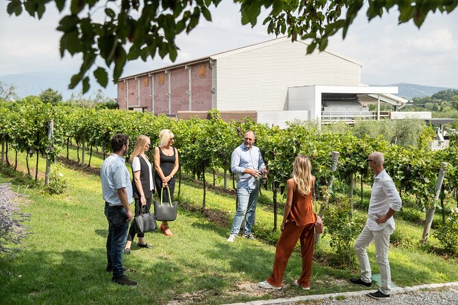 Tour and Tasting of Organic Wines in Lazise - What the guide’s style means for you