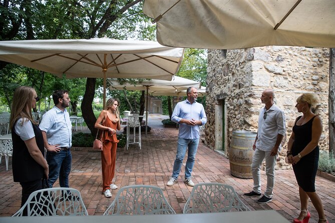 Tour and Tasting of Organic Wines in Lazise - Who will enjoy this Lazise tasting most?