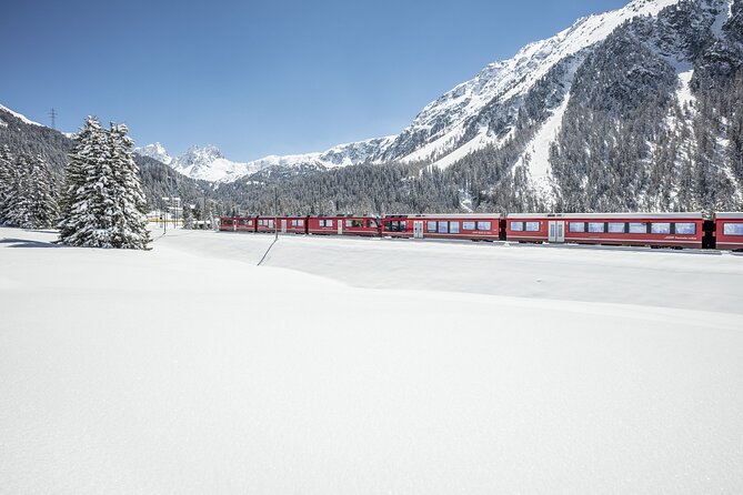 Tour Bernina Red Train And St Moritz from Milan - The price and what you receive