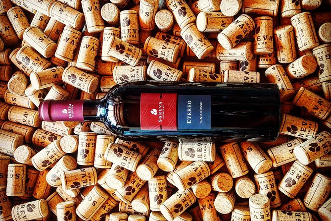 Tour in the Winery and tasting - Getting to Via San Martino della Battaglia