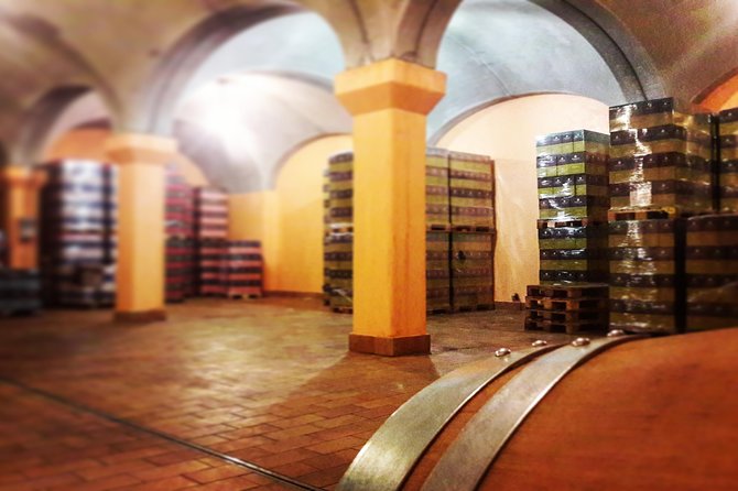Tour in the Winery and tasting - Timing, booking, and small practical details