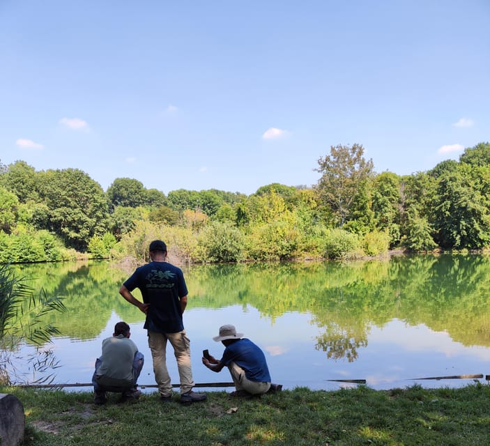 Trekking in the Wood with picnic on the turtles lake - Why the location changes your Milan itinerary