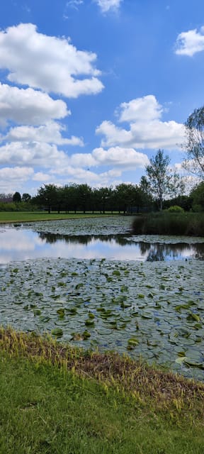 Trekking in the Wood with picnic on the turtles lake - Price, timing, and what you are really buying