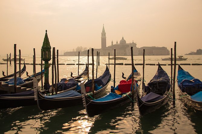 Venice and Verona Full Day Tour by Train from Milan - A good guide can rescue a tight schedule