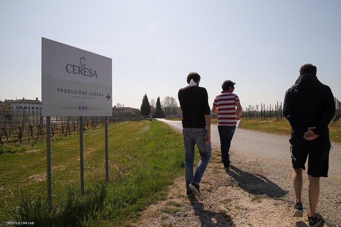 Vineyard Tour and Tasting of Lugana Wines - Simple Food That Makes the Tasting Better