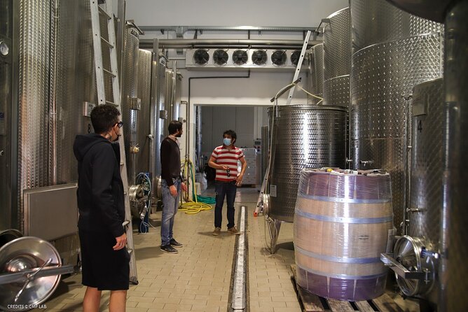 Vineyard Tour and Tasting of Lugana Wines - Why the Eight-Person Limit Matters