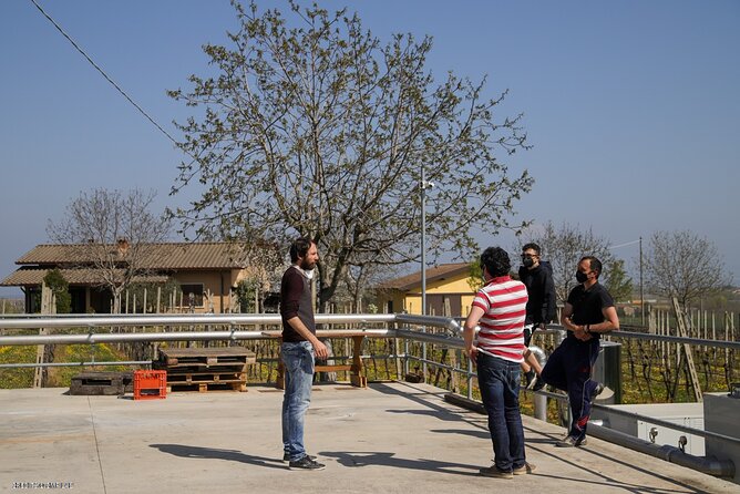 Vineyard Tour and Tasting of Lugana Wines - Practical Details Before You Book