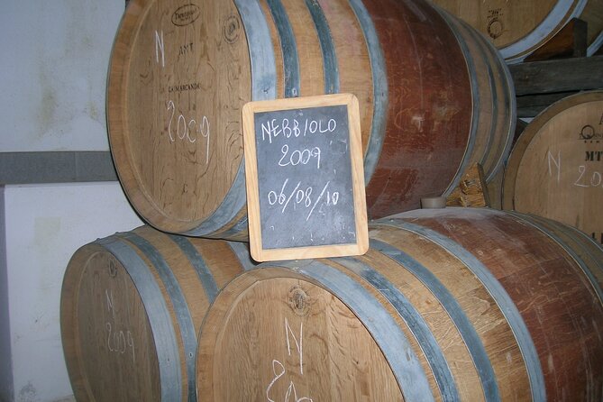 Visit and tasting of 3 D.O.C.wines Fontechiara - Inside the cellar: from vineyard work to bottle