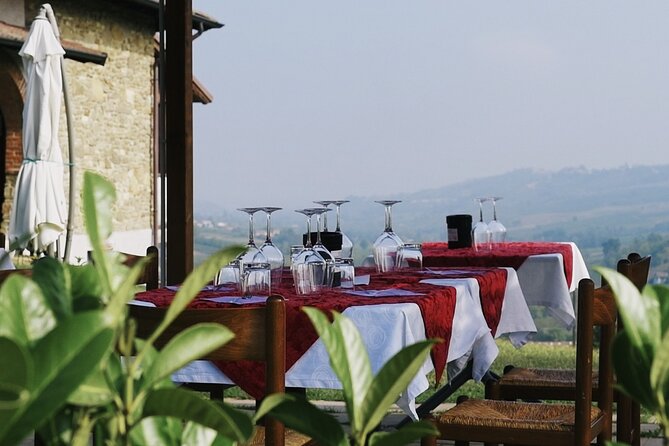 Visit winery and vineyards, tasting 4 wines with 3 matching dishes - Key points to know before booking