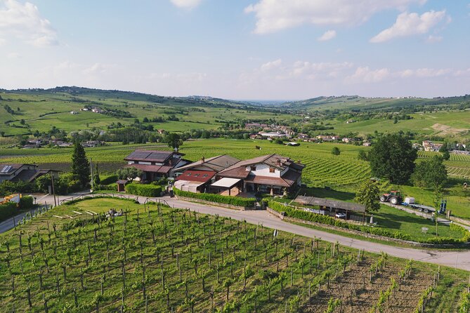 Visit winery and vineyards, tasting 4 wines with 3 matching dishes - Inside the production and aging cellars